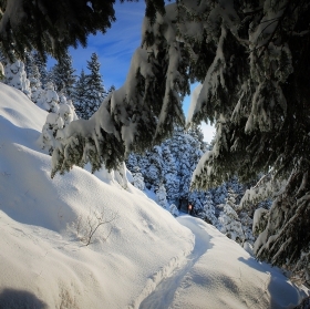 I SENTIERI PER IL RIFUGIO - RIFUGIO MONTE MARCA